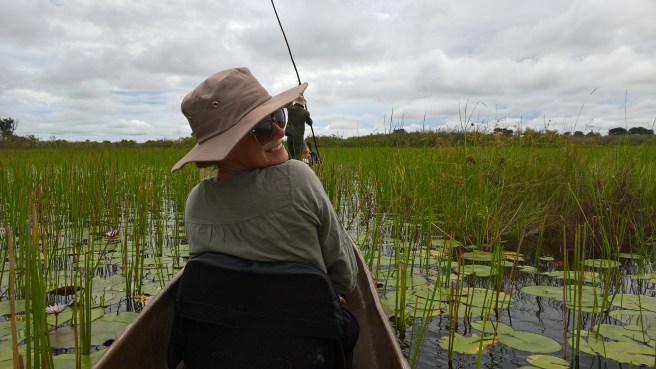 wp_20170127_10_36_17_pro